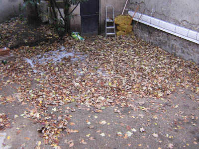 Avant ralisation d'une terrasse en bois exotique