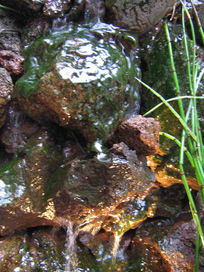 Eclairage aquatique de la fontaine